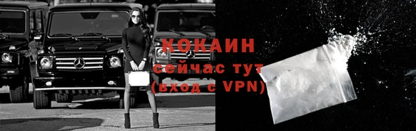 мет Елизово
