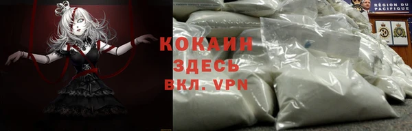 мет Елизово