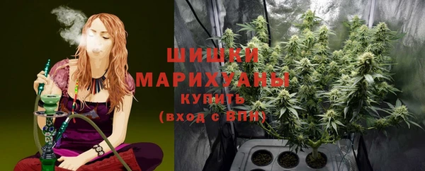 дурь Заводоуковск