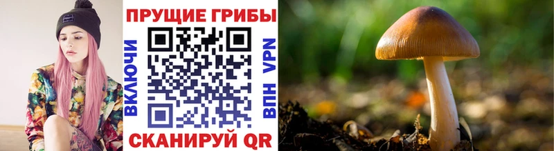 Псилоцибиновые грибы ЛСД  Унеча 